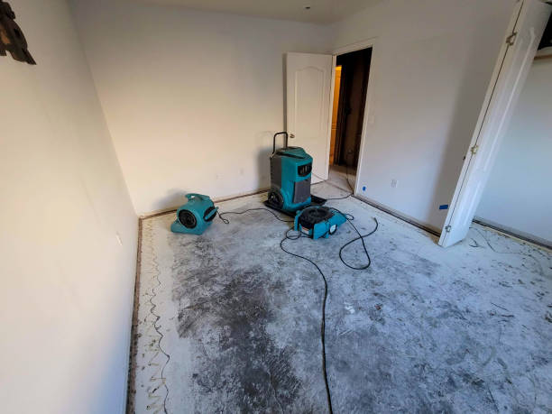 Best Mold removal after water damage  in Boardman, OR