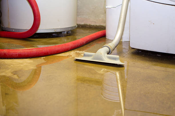 Best Water damage restoration experts  in Boardman, OR