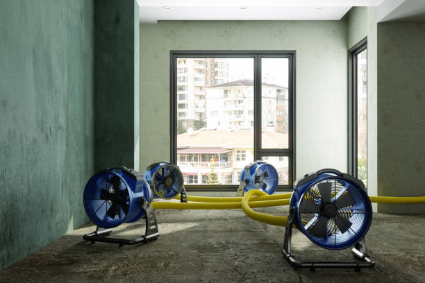  Boardman, OR Water damage restoration Pros